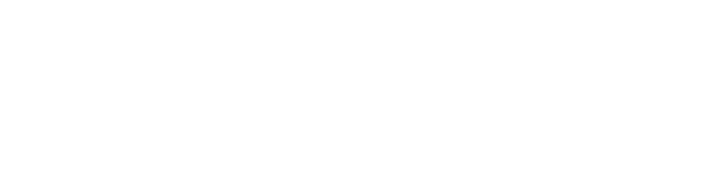 EVNews
